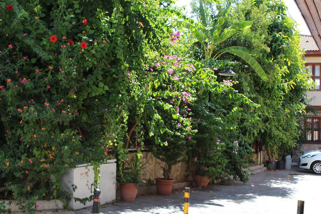 Lazer Pension Antalya Kültér fotó