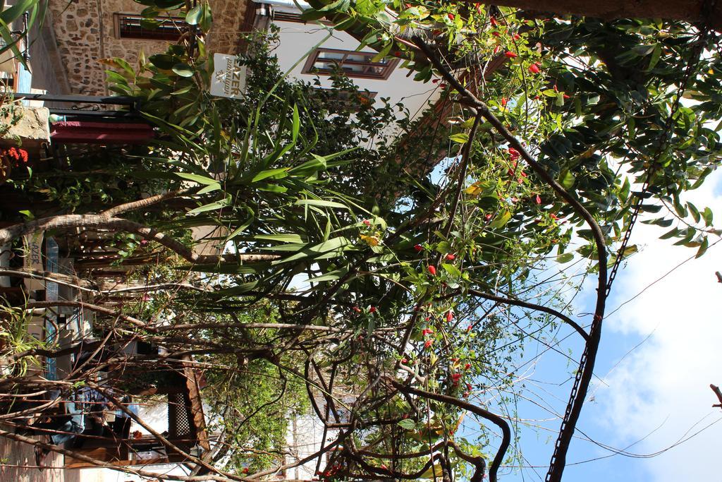 Lazer Pension Antalya Kültér fotó