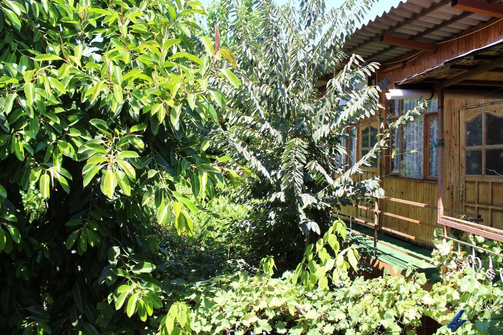 Lazer Pension Antalya Kültér fotó